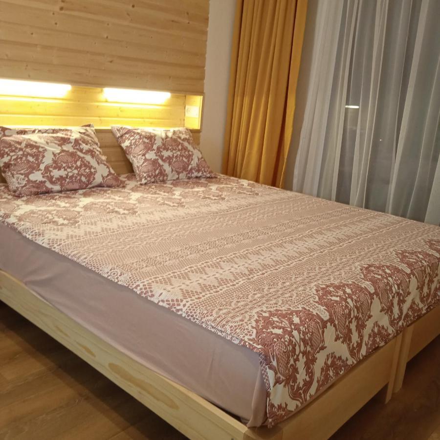 Roshka Apartment 307 Gudauri Ngoại thất bức ảnh